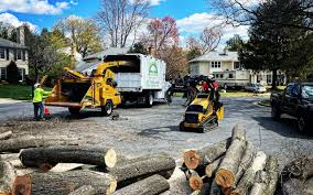 How Our Tree Care Process Works  in  Wappingers Falls, NY
